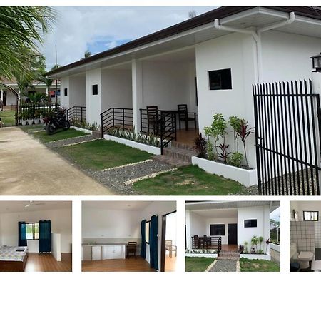 Palm Tree Lodge モアルボアル エクステリア 写真
