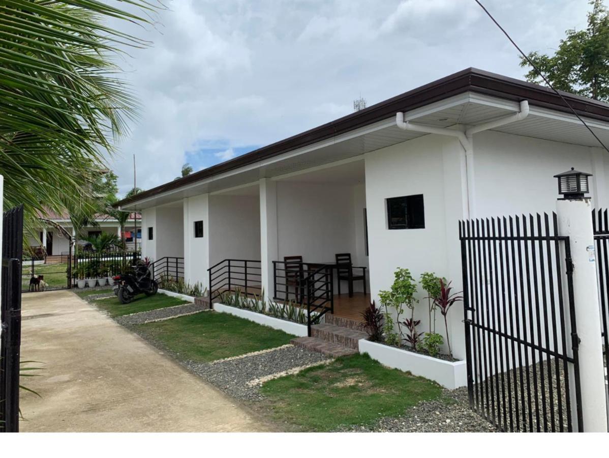 Palm Tree Lodge モアルボアル エクステリア 写真