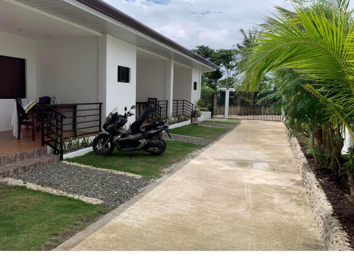 Palm Tree Lodge モアルボアル エクステリア 写真
